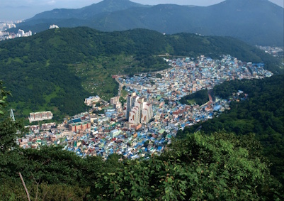 글 표시 기본 이미지