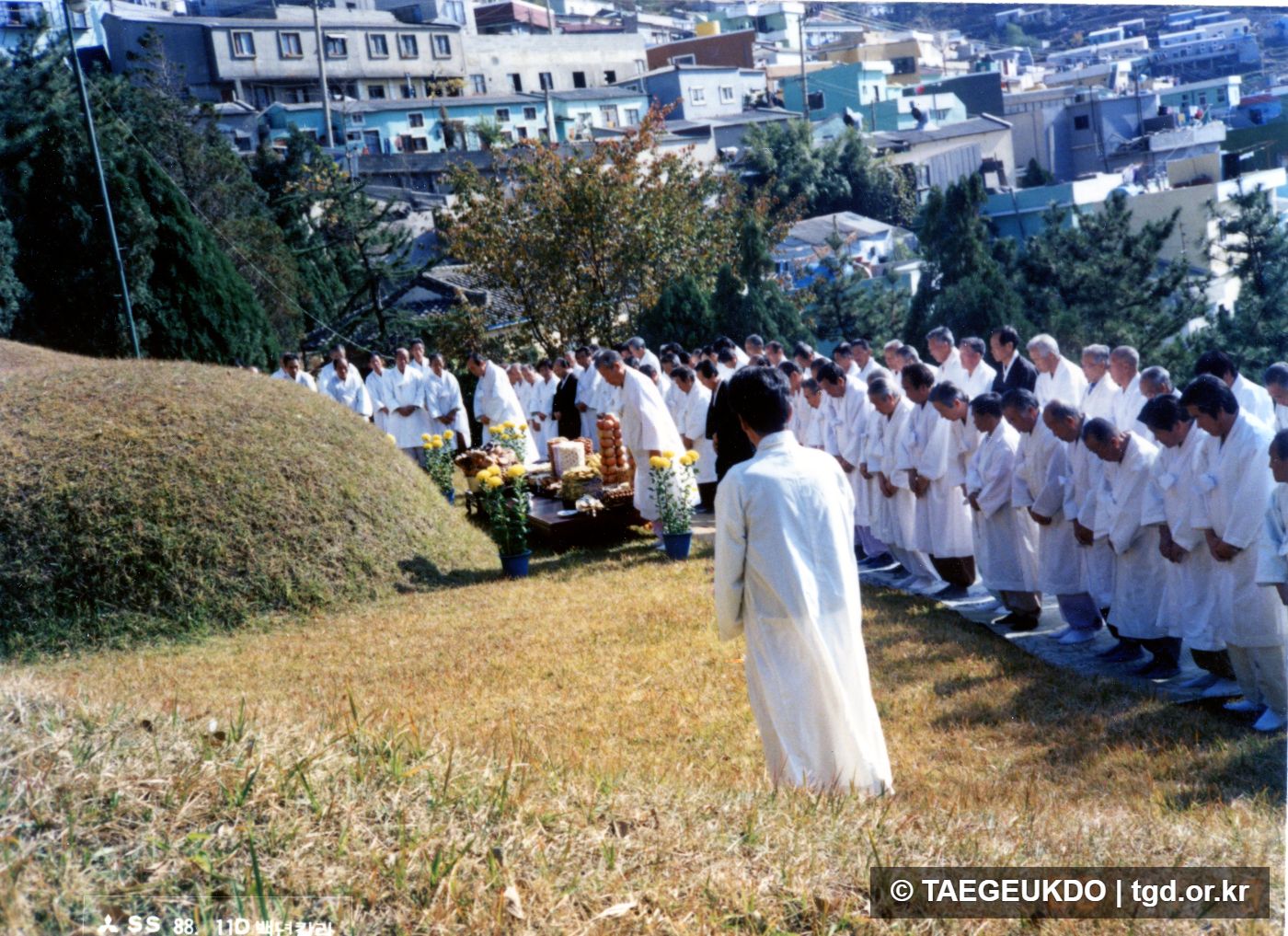 콜라주사진