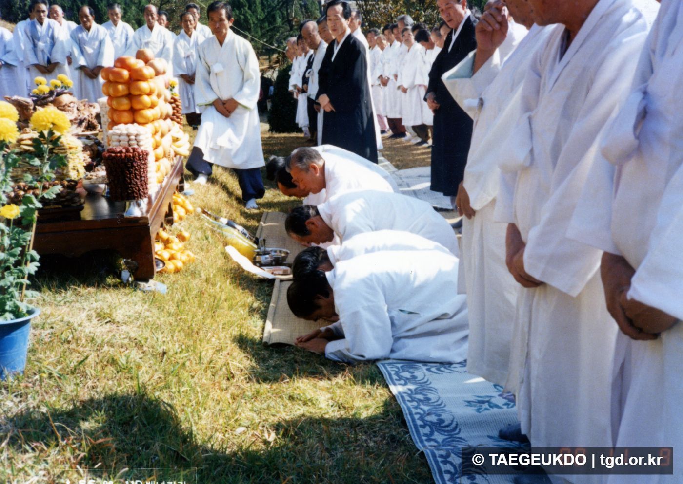 콜라주사진