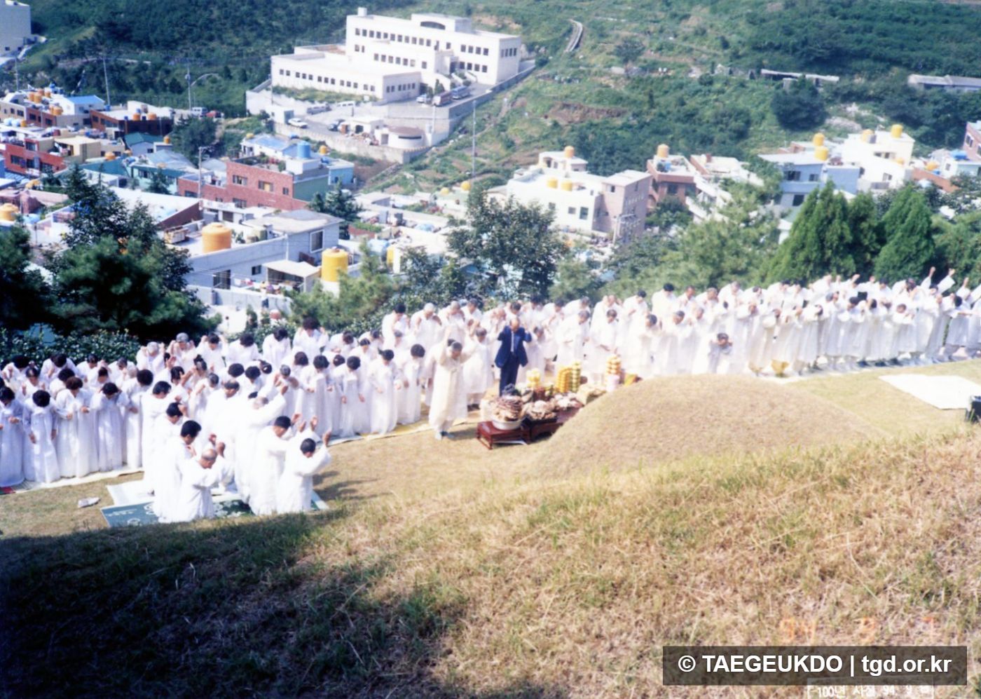 콜라주사진